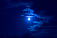 полная луна на ночном небе