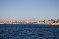 Красное море Египет Шарм