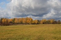 фото осеннего пейзажа в деревне
