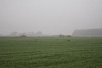 туман пейзаж фото