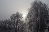черно-белое фото тумана