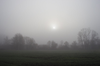 фотография тумана