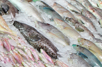 Шоппинг в Шарм-эль-шейхе: рыба